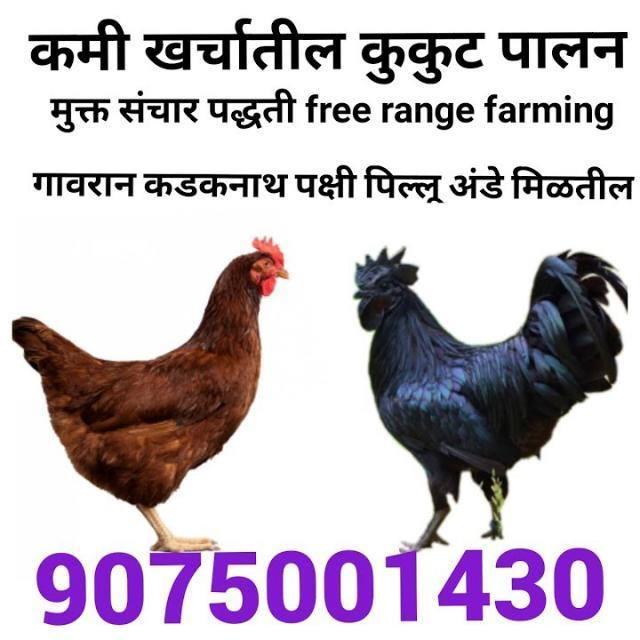 Agriculture Business Whatsapp Group Link 2023