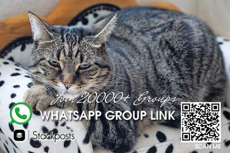 Tamil girl whatsapp group link groups 2021,south africa bitcoin,in america