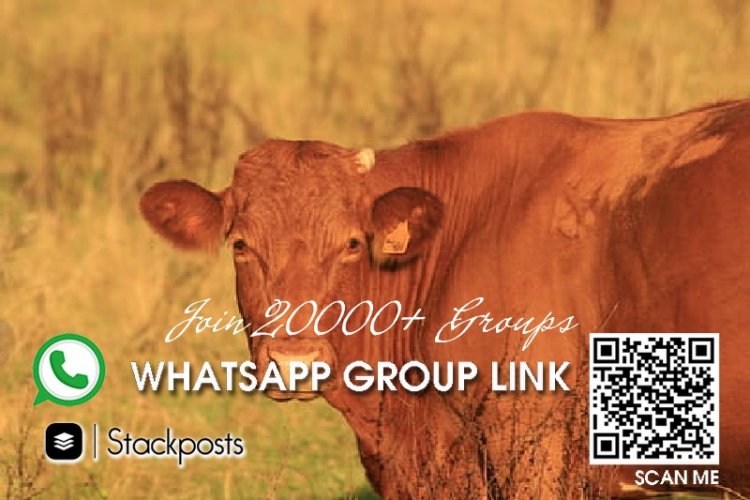 How to copy group link in whatsapp,advanced english,pudukkottai