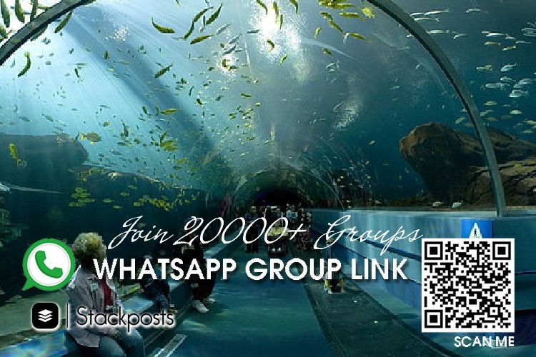 Whatsapp maximum group call, groups for english movies