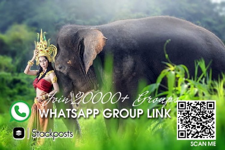 Whatsapp web series group list, groups list bot