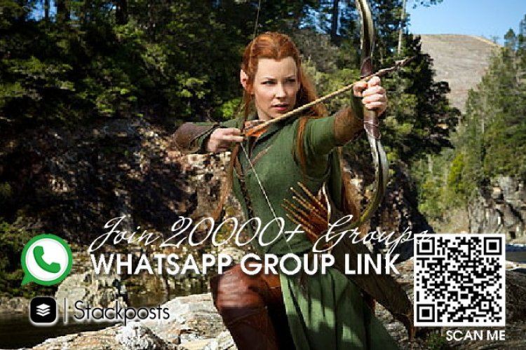 User bot for whatsapp, how do groups make money