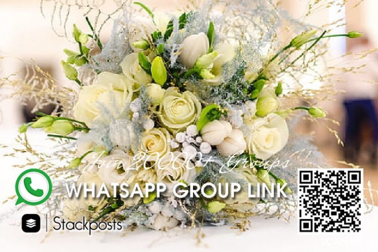 How to add bot on whatsapp group, porn chat groups