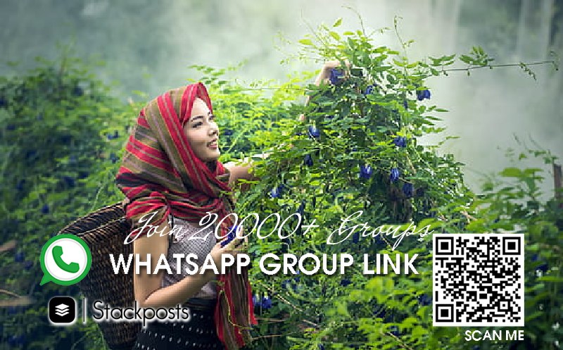 Usa old woman whatsapp group link