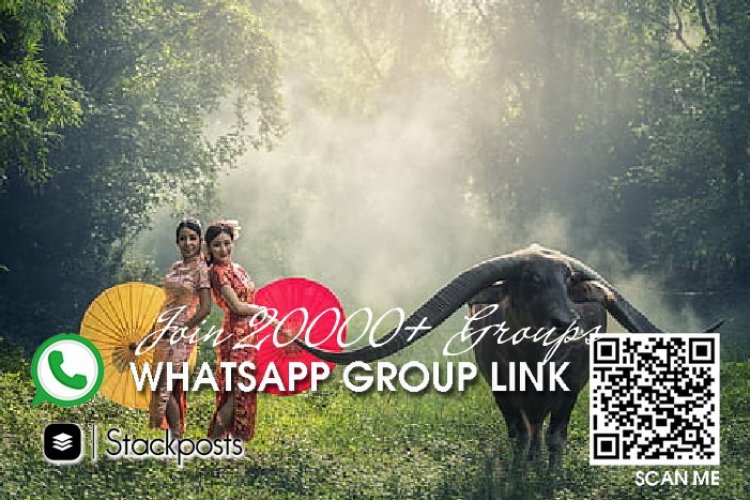 Desi video whatsapp group link - invite link group chat - black american group links