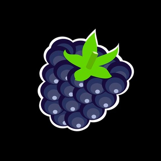 Blackberry coin Chat Telegram Group Link