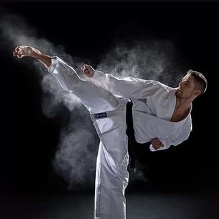 Martial arts books Telegram Group Link