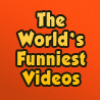 The World's Funniest Videos Telegram Group Link