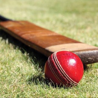 CRICKET BETTING TIPS Telegram Group Link